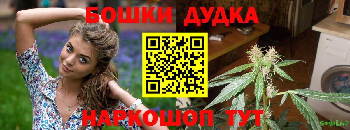 Бошки марихуана сатива  Марихуана AK-47  Железноводск  Вход с VPN 
